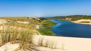 A river with sand dunes and sparse vegetation. - Bright House between Ocean and Golf (Moliets-et-Maa)