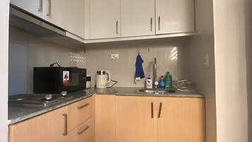 Departamento Deluxe, 1 cama King size y sofá cama, se aceptan mascotas, vista a la ciudad | Cocina privada