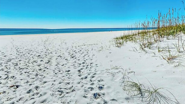 Una playa arenosa con huellas, vegetación escasa y un cielo azul despejado.