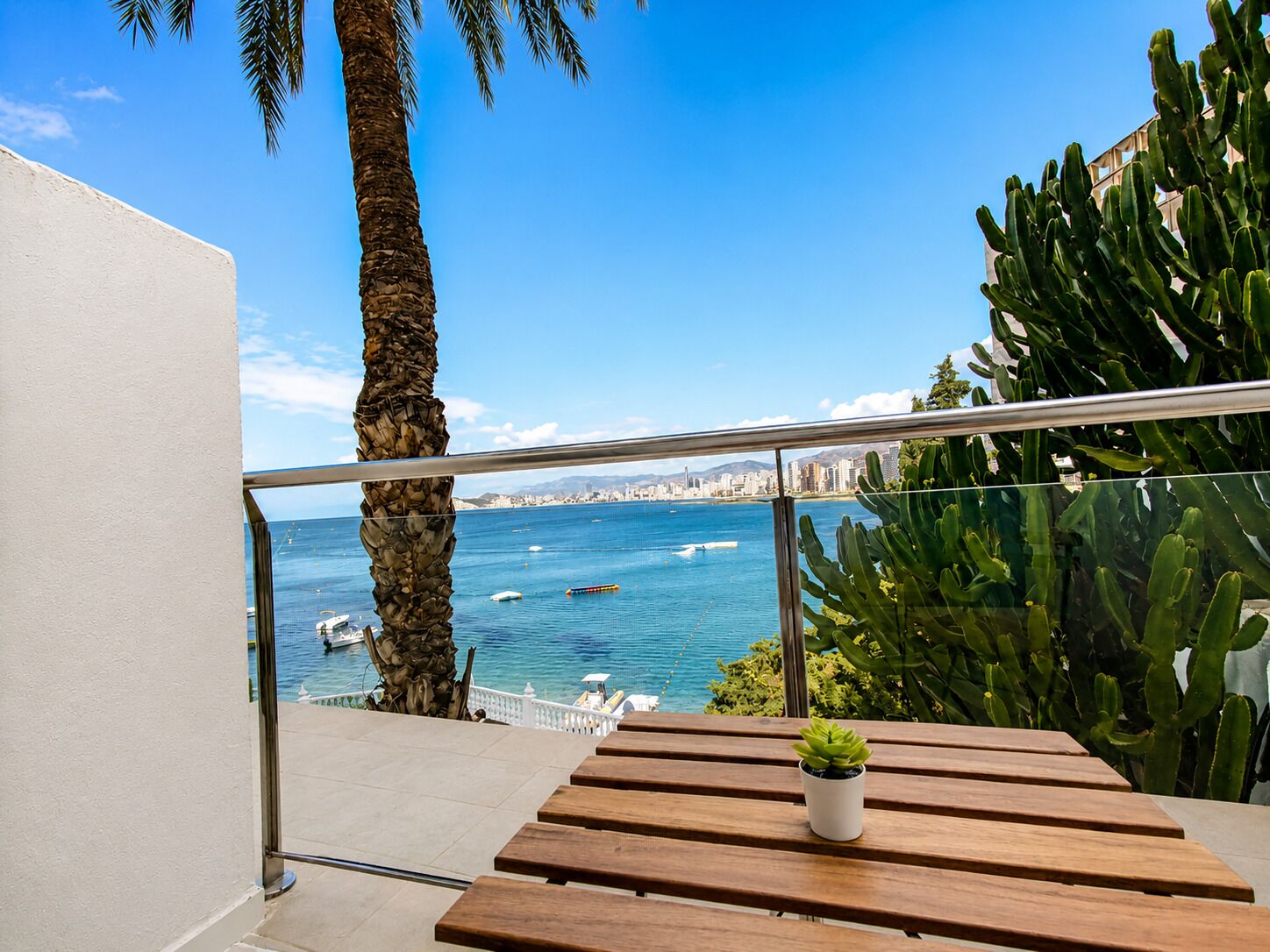 Een balkon met uitzicht op zee, een palmboom en een cactuss.