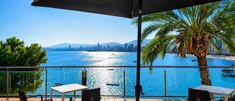 A terrace with a view of the sea, a palm tree, and a city skyline.