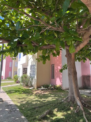 Property grounds - Relax in paradise (Playa del Carmen)