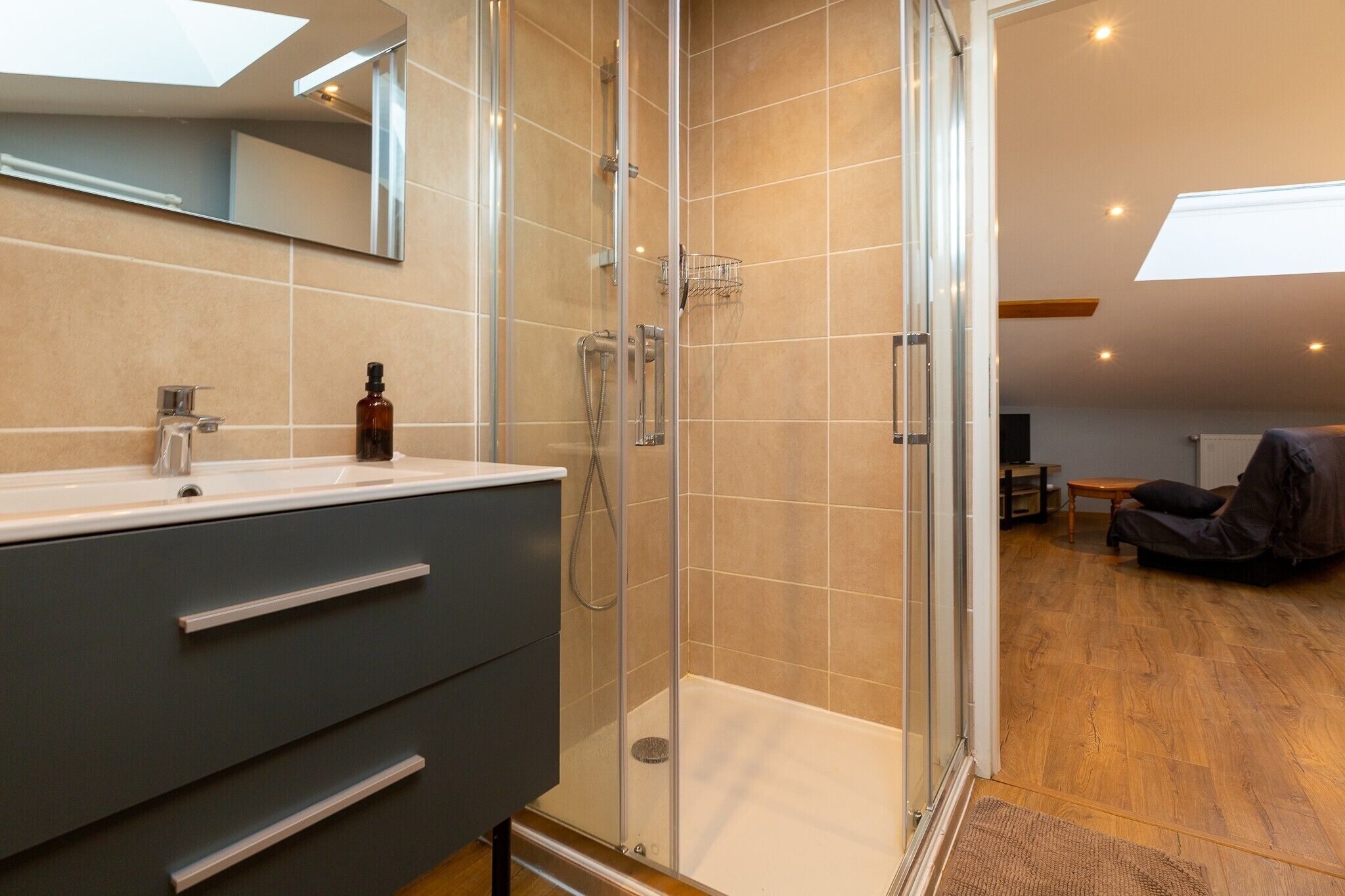 Shower, hair dryer, towels