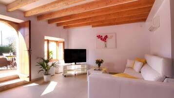 Fernseher