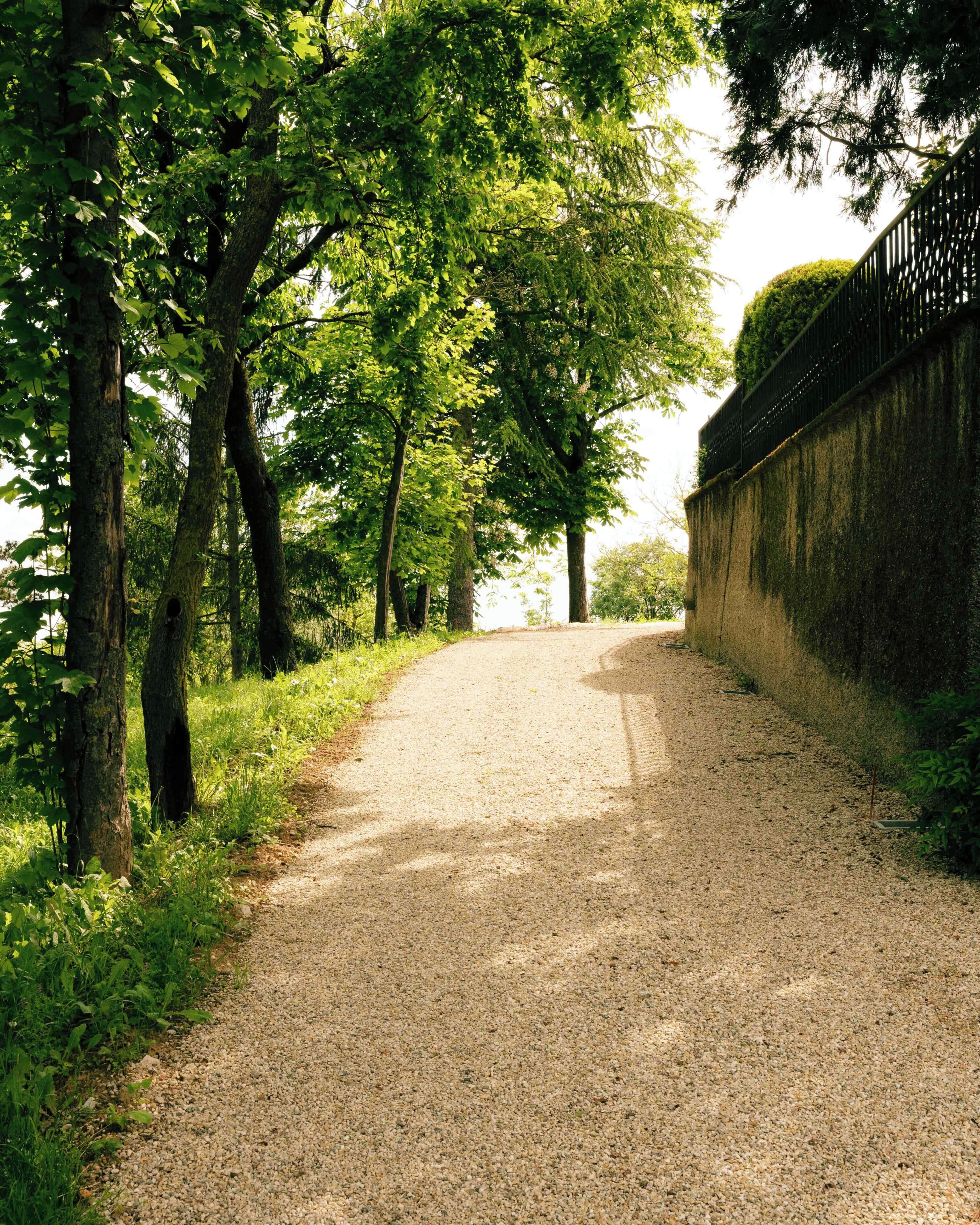 A gravel path flanked by trees and a stone wall, leading into a natural setting.