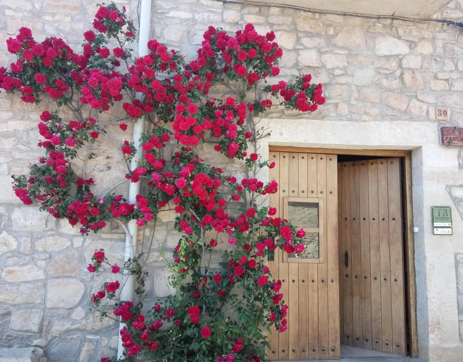 Details aan de buitenkant