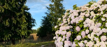 Farmhouse 'Principal - Do Mogadouro' with Mountain View, Shared Pool and Wi-Fi