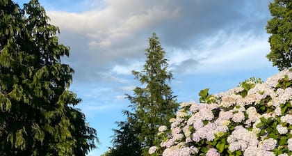 Farmhouse 'Principal - Do Mogadouro' with Mountain View, Shared Pool and Wi-Fi