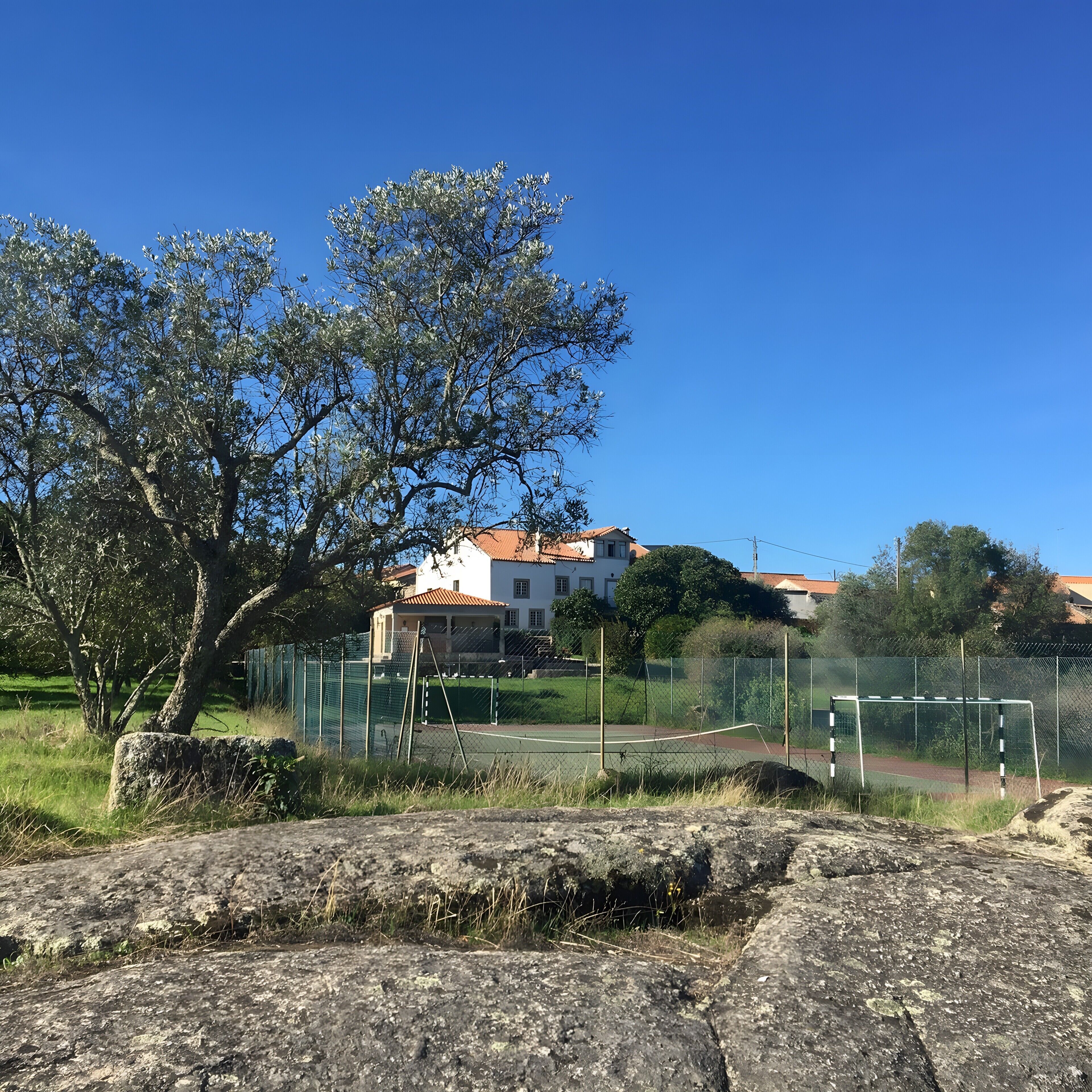 Un court de tennis entouré d’une clôture, avec un poteau de but, un grand arbre et un bâtiment avec un toit rouge en arrière-plan.