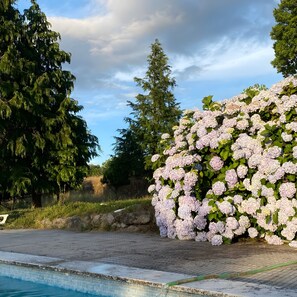 A swimming pool with a tiled edge, surrounded by lush greenery and flowering plants. - Family Room – Casa do Mogadouro with Mountain View, Shared Pool and Wi-Fi (Mesquitela)