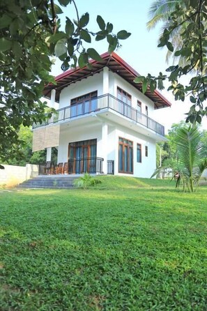 Exterior - cormorant bath (SP)