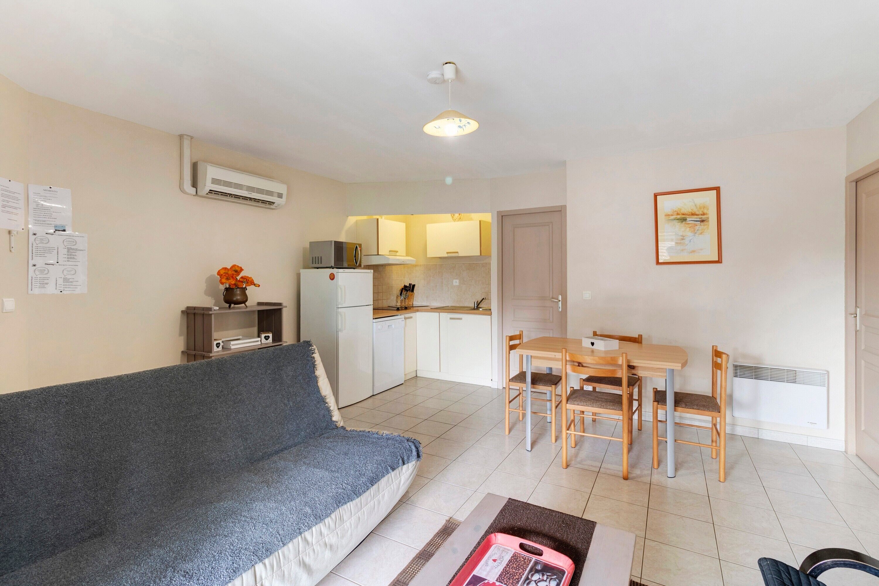 TV, DVD player, table tennis