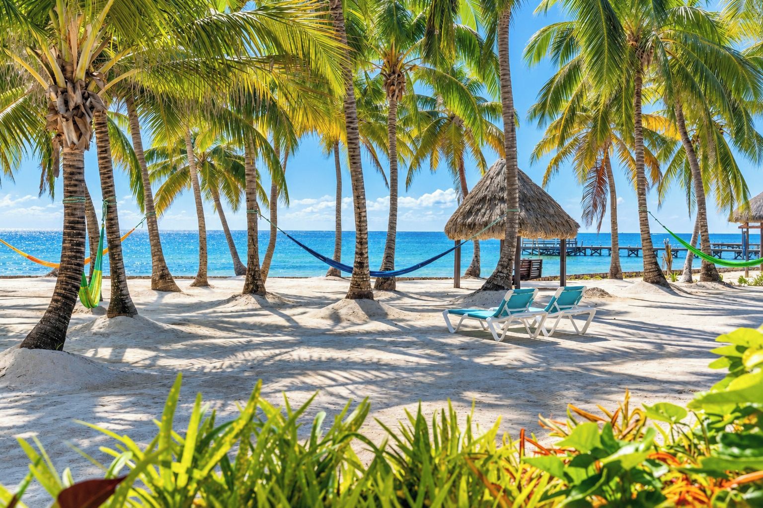 Une plage bordée de palmiers, avec un hamac et des chaises longues.