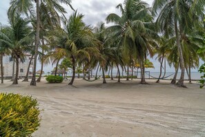 On the beach, sun-loungers, beach towels - Ocean Front - 1 King Bedroom - Seaglass B1 (San Pedro)