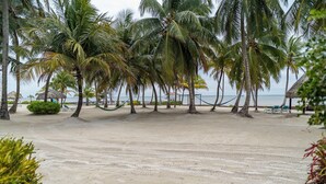 Una spiaggia con palme, un'amaca e una struttura con tetto di paglia.