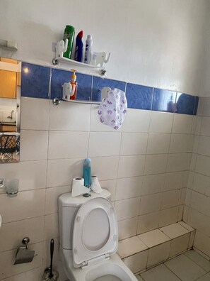Une salle de bain avec des toilettes, une étagère contenant des articles de toilette et un mur recouvert de carreaux bleus.
