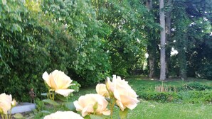 A garden with blooming roses and green foliage. - LE GITE DU CHATEAU NEAR MARAIS POITEVIN (Fors)