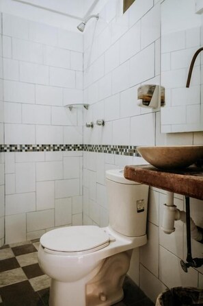 Regadera, toallas, jabón, papel de baño