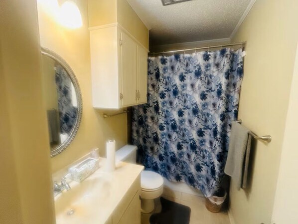 Shower, soap, toilet paper