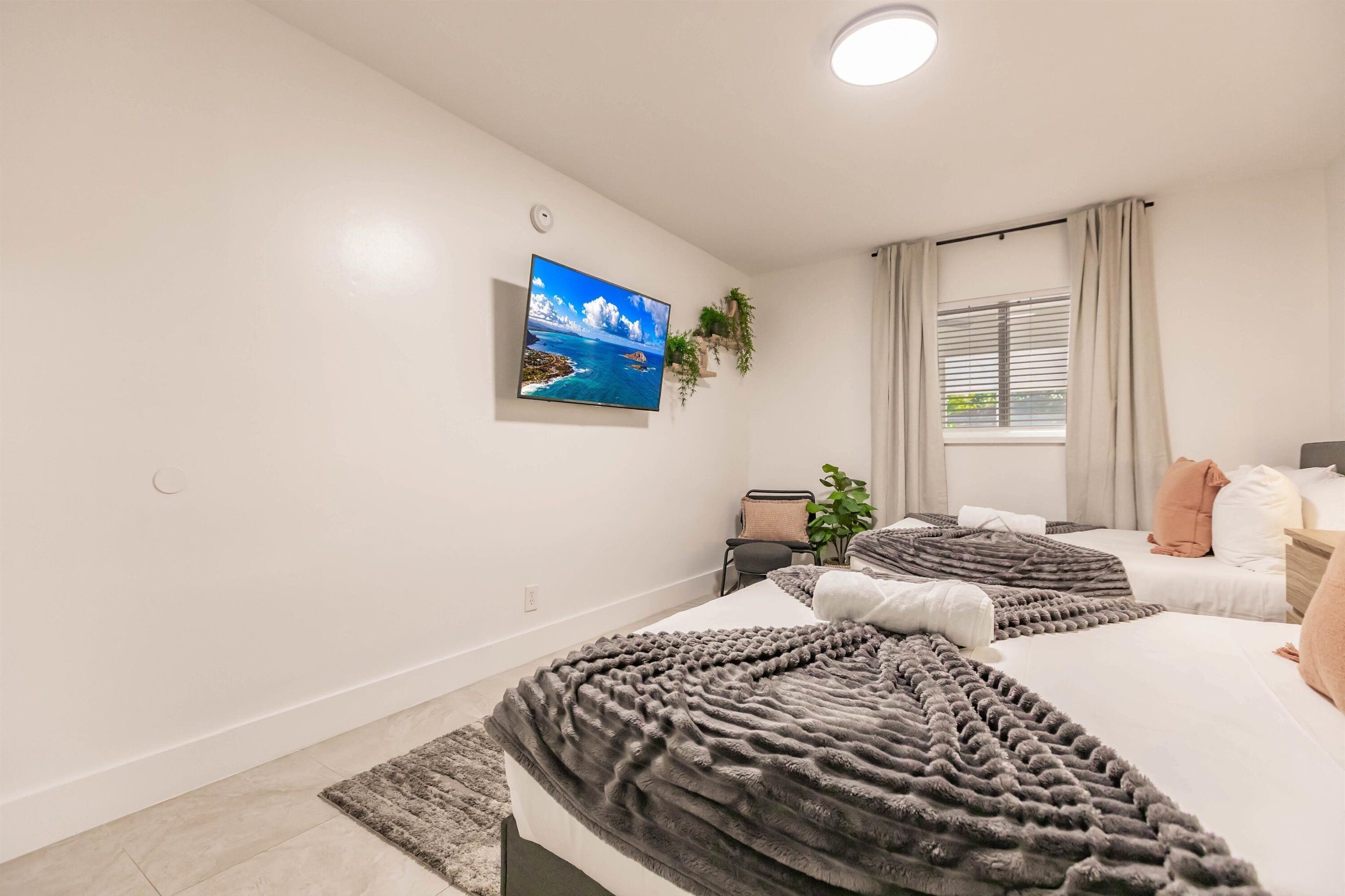 Un dormitorio con dos camas, un televisor en la pared, una ventana con cortinas y una planta.