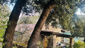 Ein rustikales Steinhaus mit einer Holzveranda, umgeben von Bäumen und einer Steinmauer.