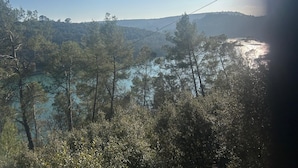 Eine Landschaft mit Bäumen und blauem Himmel.