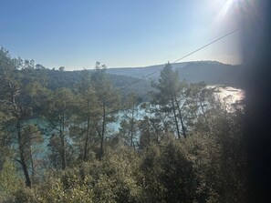 A landscape with trees and a clear sky. - Charming house on Lake Carces (Carcès)