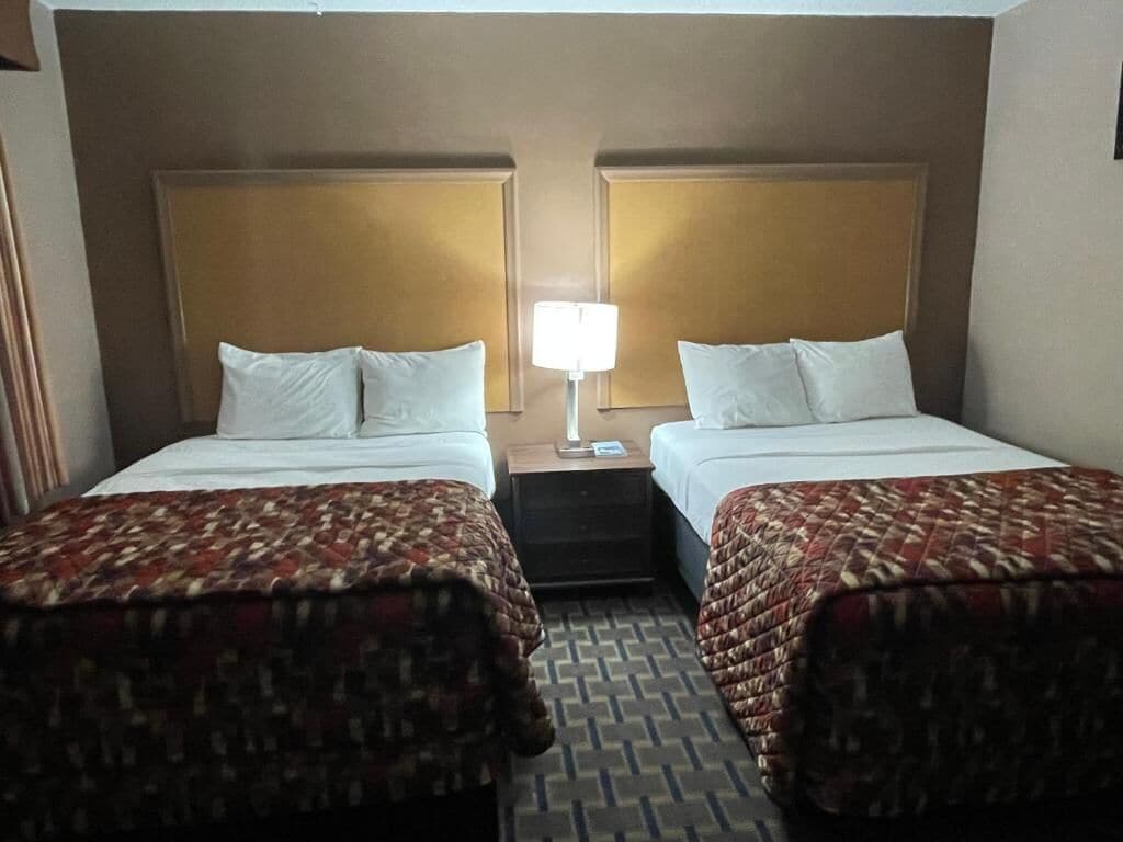 Habitación de hotel con dos camas, cada una con cabecero, una mesita de noche con lámpara y alfombra estampada.
