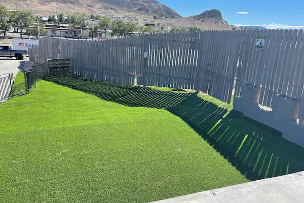 Pet-friendly amenities