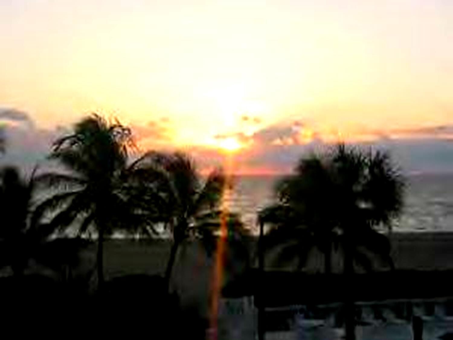 Un coucher de soleil sur une plage bordée de palmiers.
