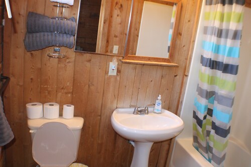 AC3 Cozy 1-bedroom cabin in peaceful Chassell with AC