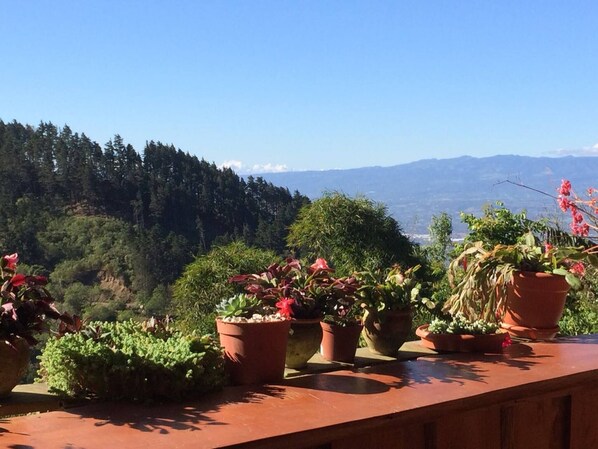 Une terrasse agrémentée de plantes en pot, offrant une vue sur une colline boisée.