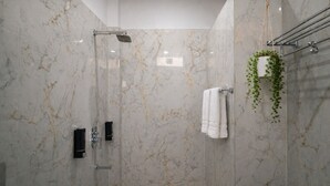 Une salle de bain moderne avec une douche à parois de verre, un porte-serviettes et une plante suspendue.