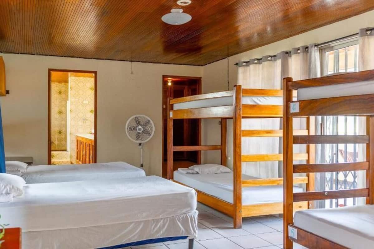 Une chambre avec des lits superposés, un ventilateur et une fenêtre avec des rideaux.