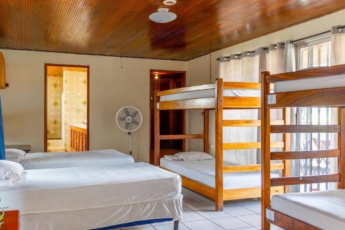 Classic Shared Dormitory