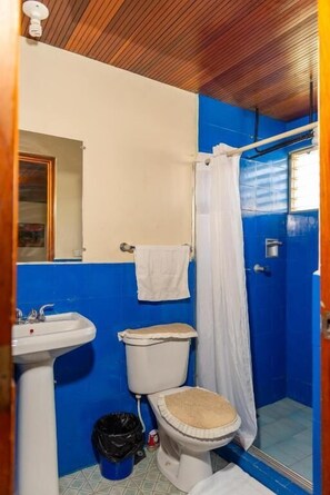 Habitación clásica con 1 cama matrimonial o 2 individuales | Baño