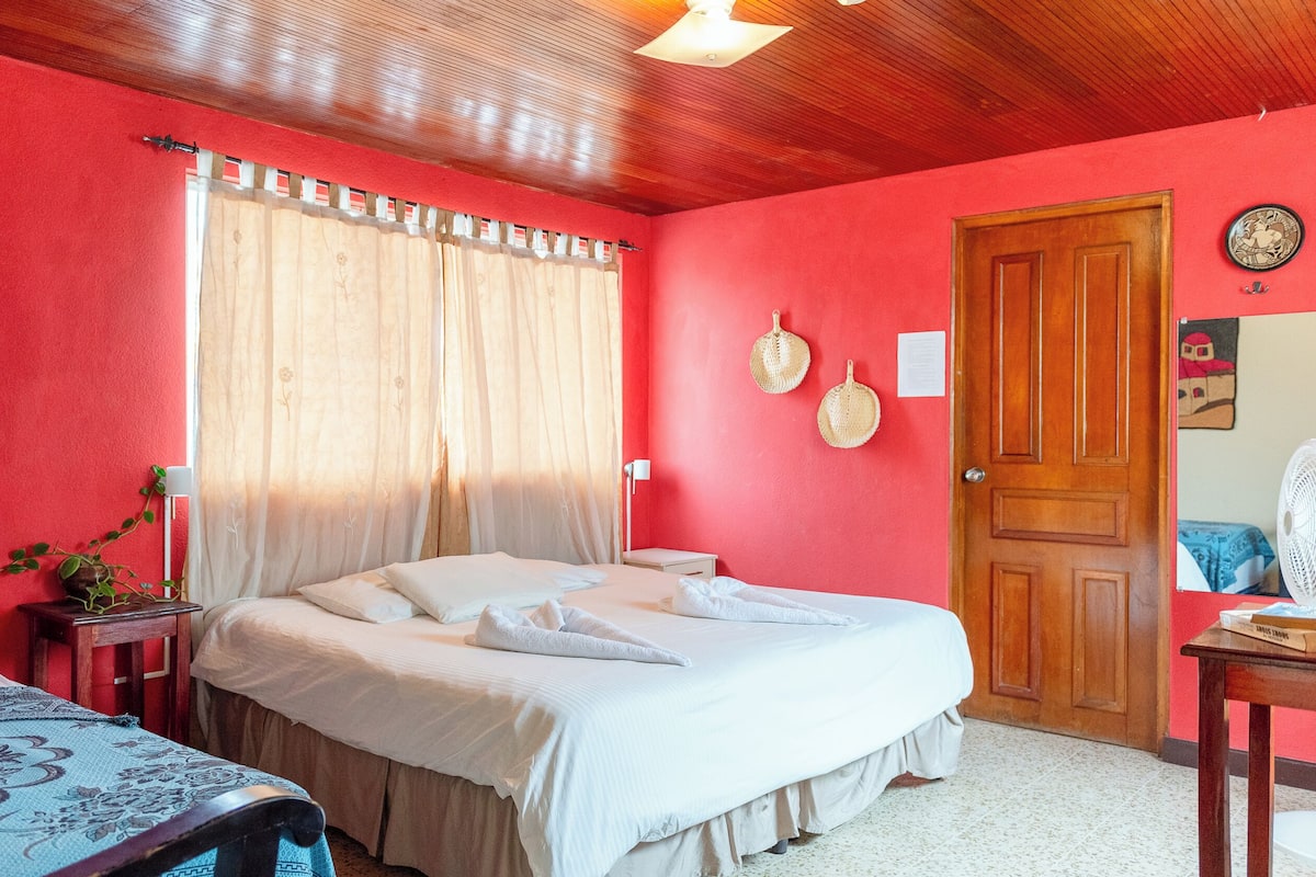Une chambre à coucher comprenant un lit, une table de chevet, une lampe, une fenêtre avec des rideaux, une porte et une horloge murale.