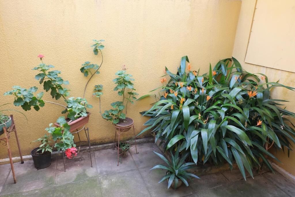 Classic Quadruple Room | Property grounds