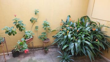 Classic Quadruple Room | Property grounds