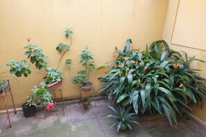 Neljän hengen classic-huone | Ulkoalueet