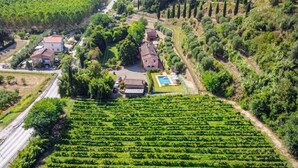 Eine Luftaufnahme eines Weinbergs mit Reihen von Weinreben, einem Schwimmbecken und mehreren Gebäuden.