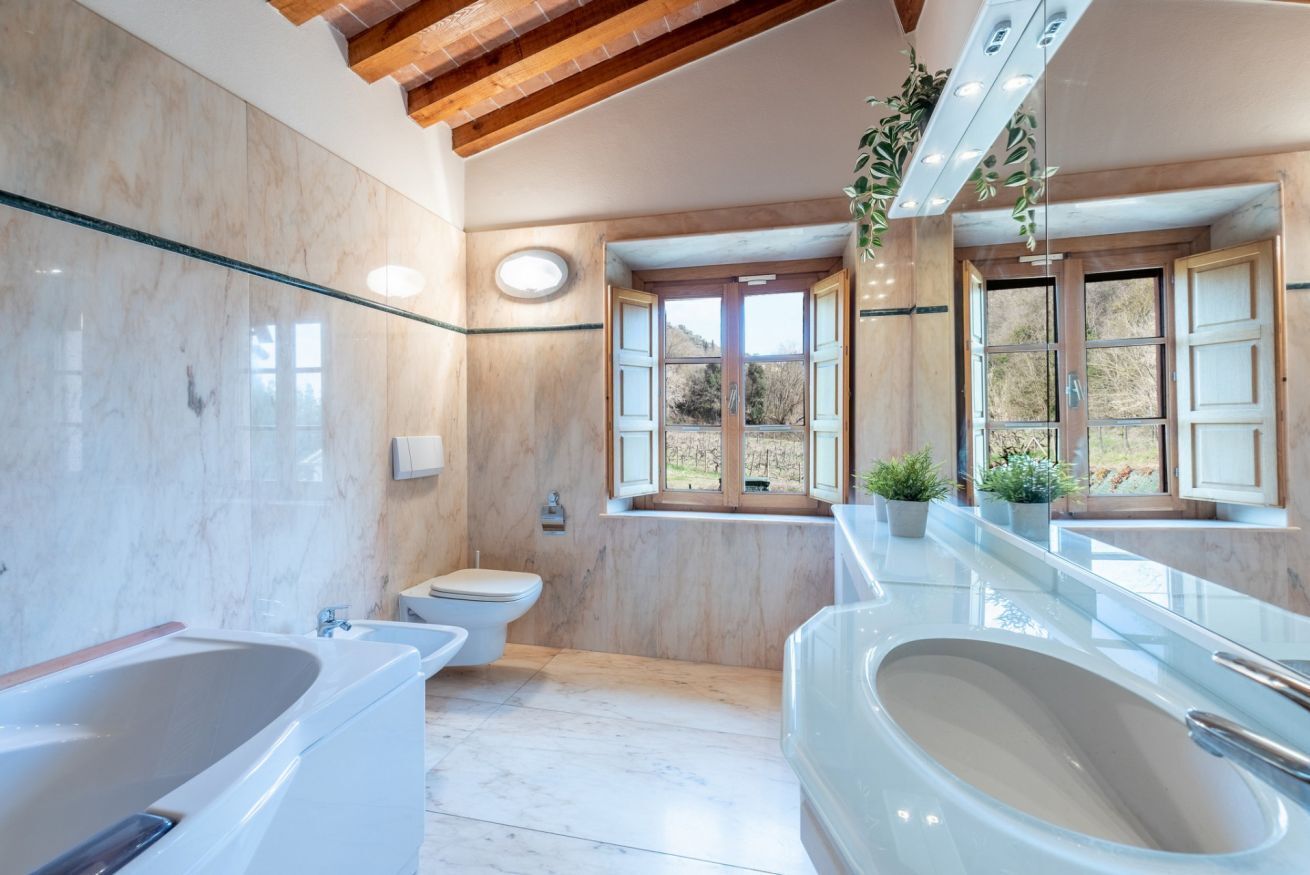 Jetted tub, bidet