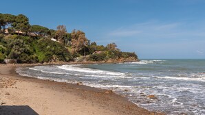 Una playa con arena, olas y una ladera boscosa.
