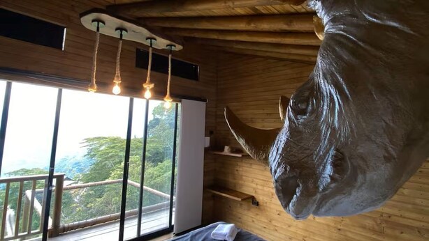 Ein Holzinterieur mit einem Bett, einer großen Hornskulptur und Blick durch ein Fenster.