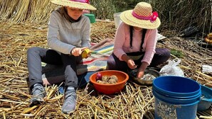 Two individuals seated on straw, engaged in an activity with bowls and buckets, surrounded by natural vegetation. - Uros TITIKAKA the Best lodge  (Puno)
