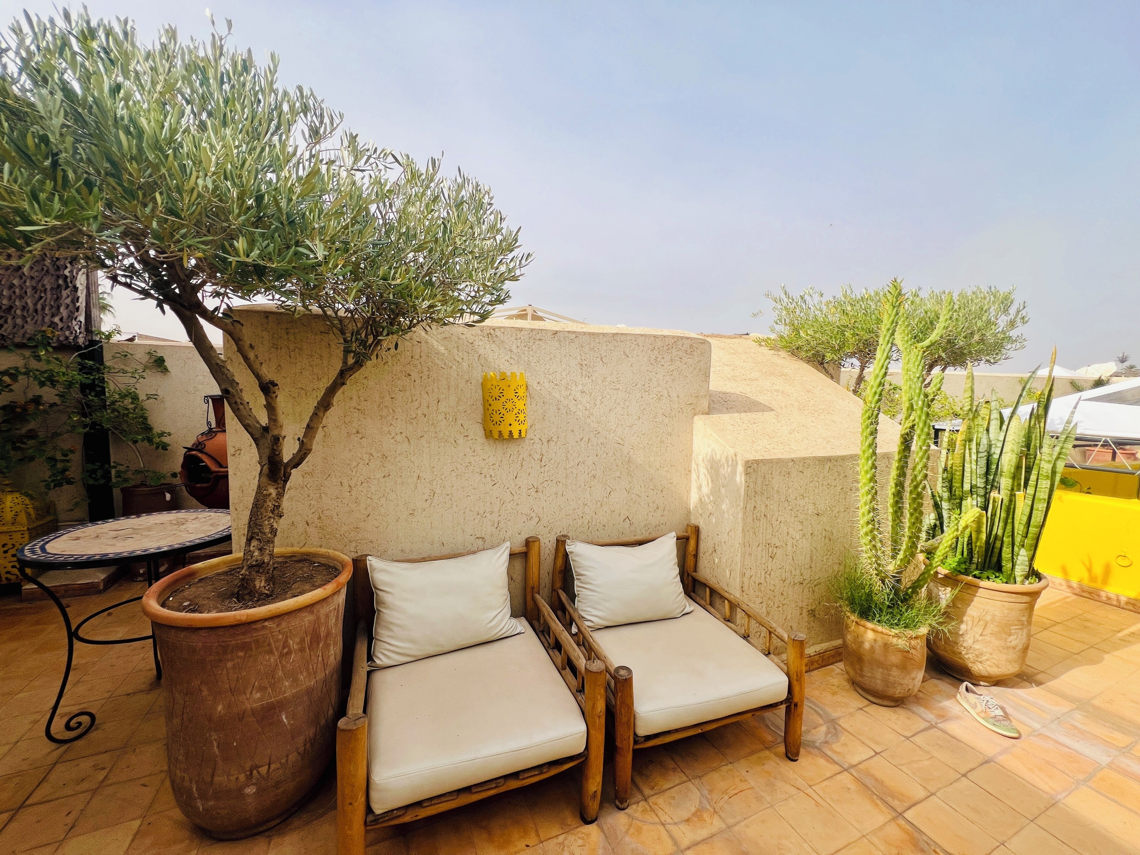 Une terrasse avec deux fauteuils de jardin en bois, un arbre en pot et un mur jaune.