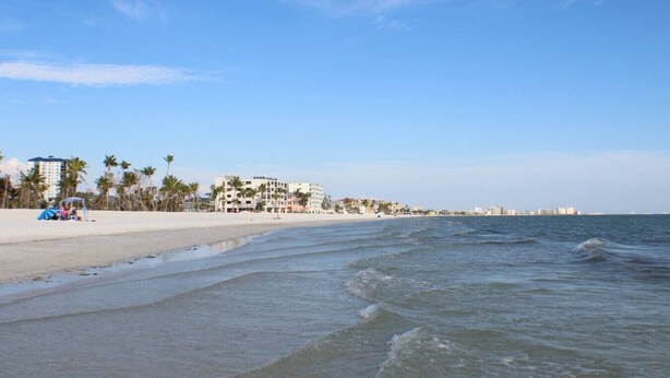 A beach with a building in the background, palm trees, and a clear sky. - SWFL: Cape Coral Relax - Entire Home! (Cape Coral)
