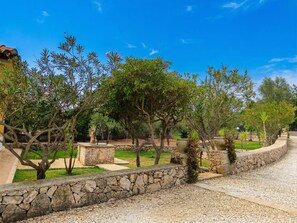 A stone pathway leading through a garden with various trees and a clear blue sky.