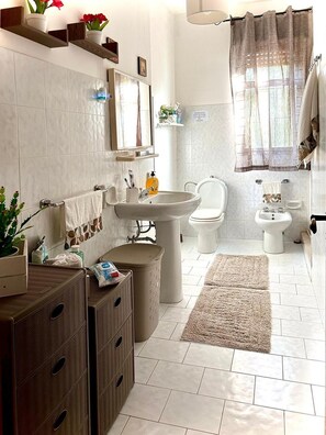Shower, bidet, towels