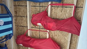 A room with a wooden wall, a blue storage cart, and several hanging bags.